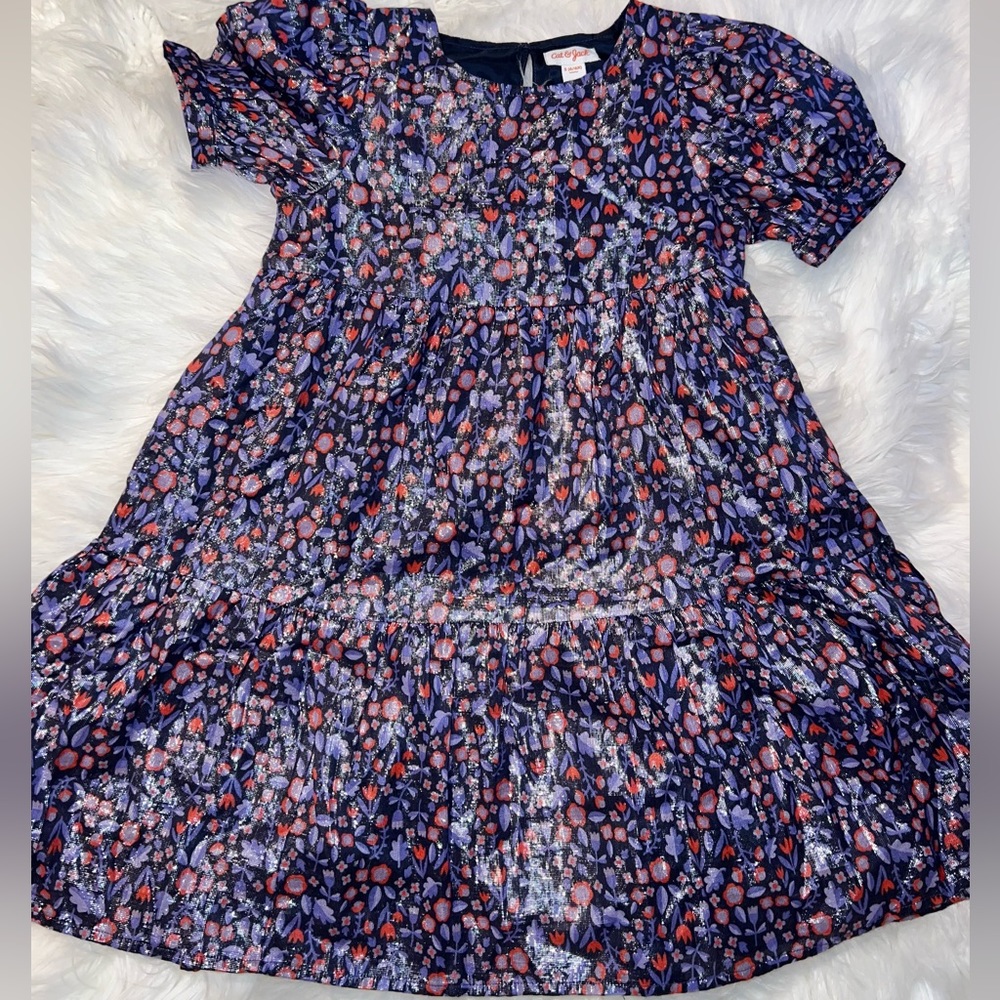 Fall and Winter Dressy Metallic Dress NWOT, layered pocket dress, floral